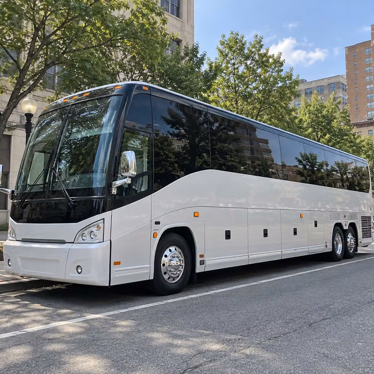 minibus rentals for new haven school groups visiting the lighthouse point park nature center