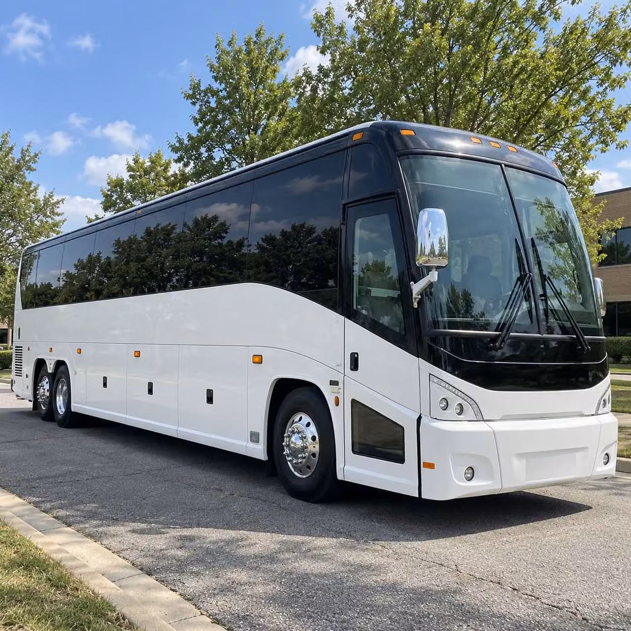 new haven school field trip charter bus rentals